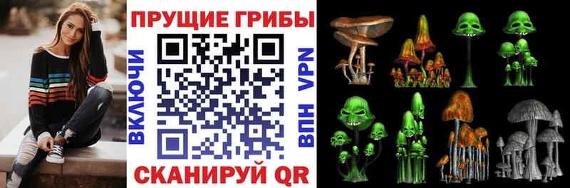 Галлюциногенные грибы Magic Shrooms  KRAKEN зеркало  Карачев 